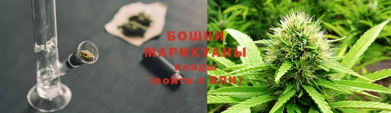 Бошки Шишки THC 21%  купить наркоту  Набережные Челны 